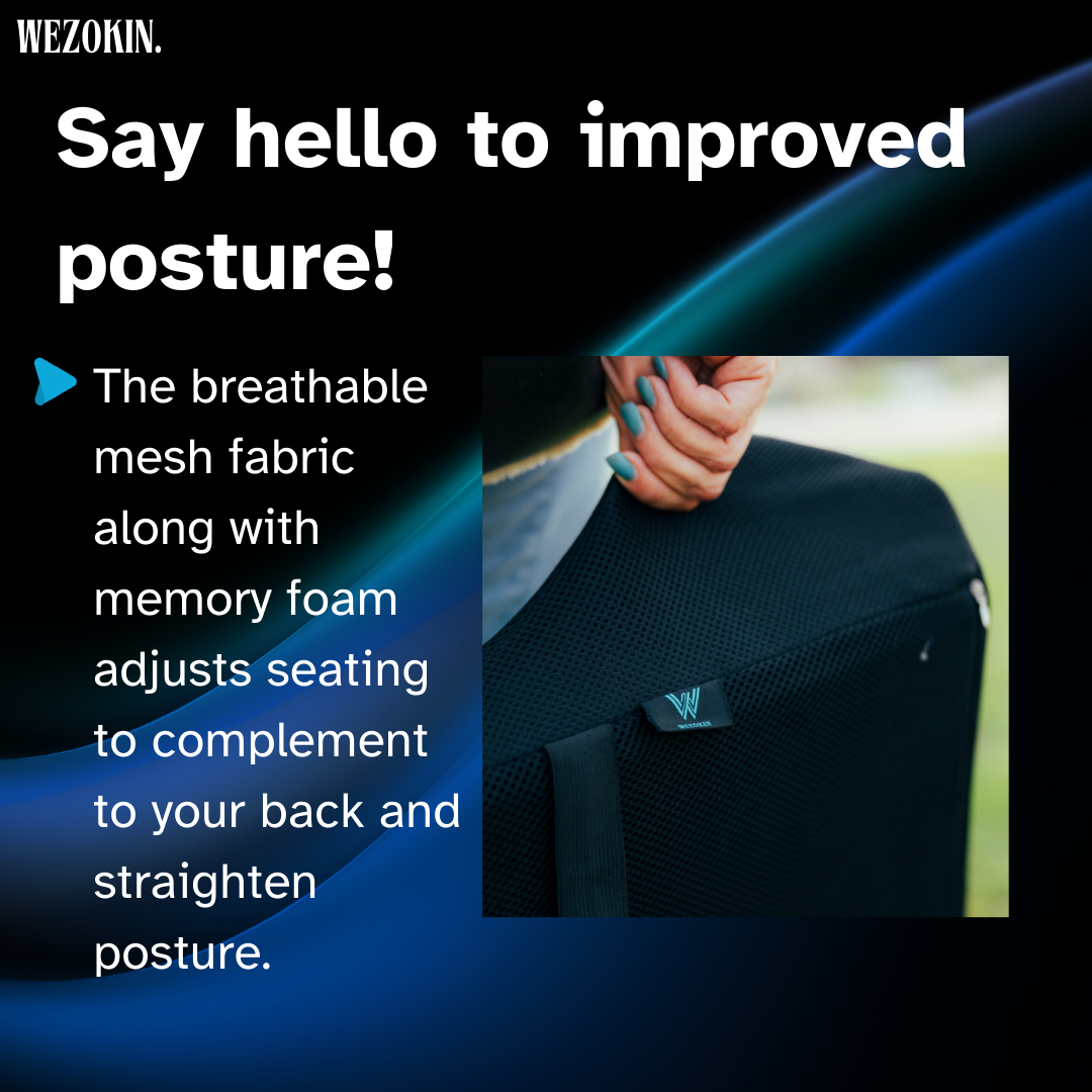 WEZOKIN BackPad for Lumbar Support & NanoZen EMS Massaging Device